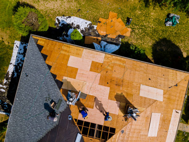 Best Roof Gutter Cleaning  in Mount Pleasant, TN