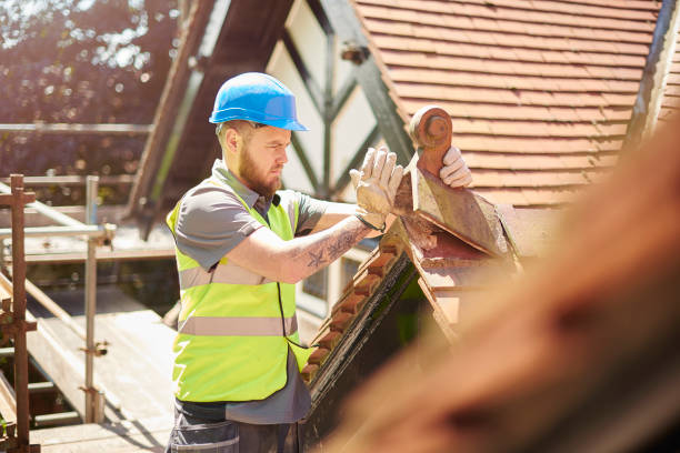 Best Metal Roofing Contractor  in Mount Pleasant, TN